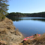 Fly Fishing For Chain Pickerel at Daingerfield State Park