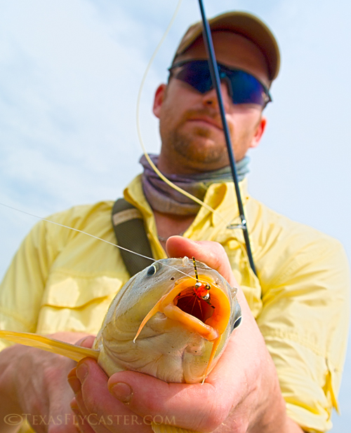 Fly Fishing For Carp on Lake Ray Roberts - Early May Update - Flyfishing  Texas : Flyfishing Texas