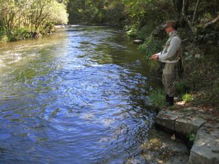 Beavers Bend Fly Fishing