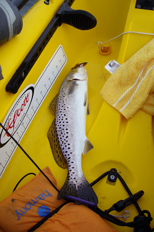 offatts bayou speck on fly in kayak