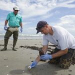 TPWD – Biologists Sampling Texas Coast to Prepare for Oil Spill Impacts