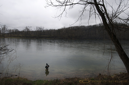 White River Arkansas Fly Fishing In Texas Fly Fishing