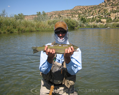 Rainbow trout on the San Juan Navajo Quality Waters