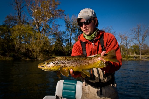 Fly Fishing the White River and the Norfork in Arkansas - Blue Ribbon  Report - Flyfishing Texas : Flyfishing Texas