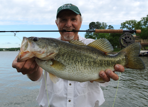 largemouth bass caught fly fishing on lake kiowa texas