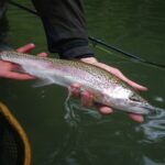 Weekend Trout Clinic at Living Waters Fly Fishing Round Rock Texas