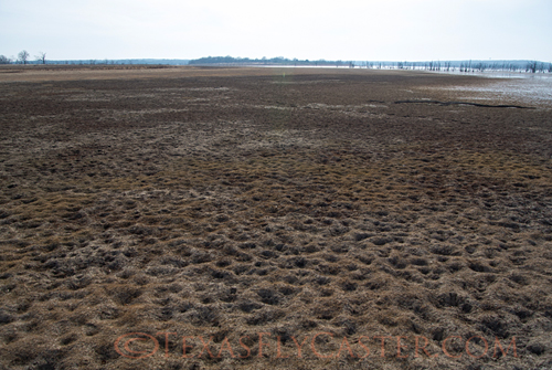 Lake Ray Roberts Drought Winter 2012