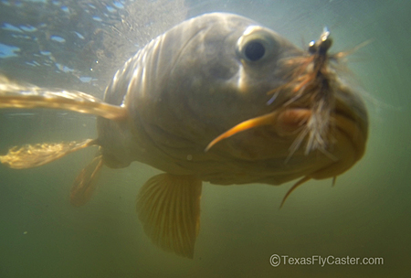 Keep Your Eyes on This Fly Fishing Photo Trend