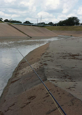 fly fishing in downtown Houston Texas