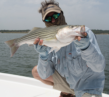 Texoma Striper Fishing