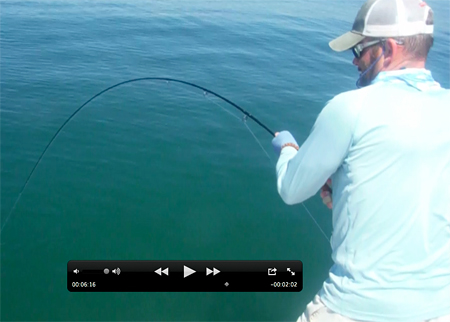 texas fly fishing for jack crevalle in gulf of mexico