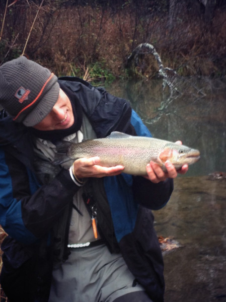 male rainbow trout