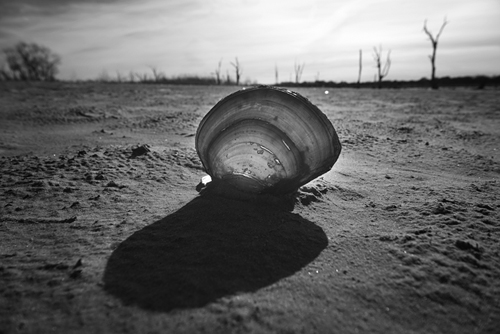 Lake Ray Roberts Texas Drought 2014