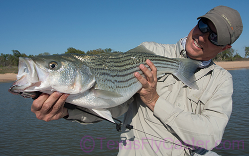 Rain on the Sidewalk Plus Lake Texoma Striper Blitz