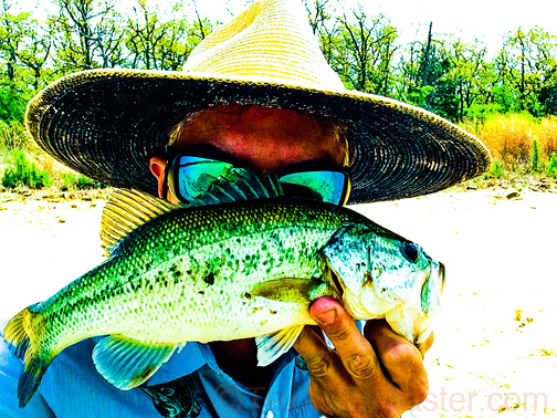 texas fly fishing for largemouth bass