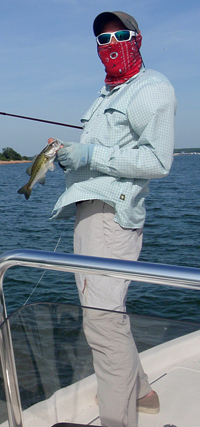 smallmouth bass feeding with striper on lake texoma
