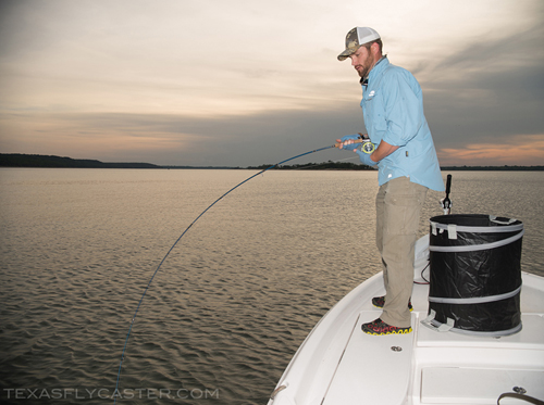 texoma striper on fly texas fly fishing