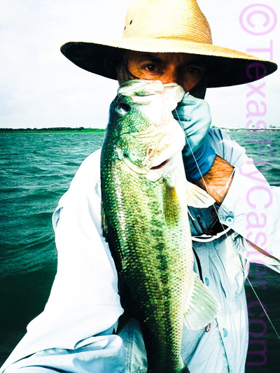 largemouth bass on fly