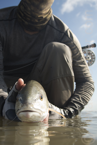 July 27 redfish on fly near slp Galveston fly fishing