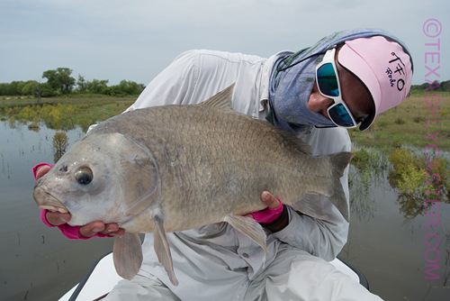 buffalo on fly rod lake whitney texas