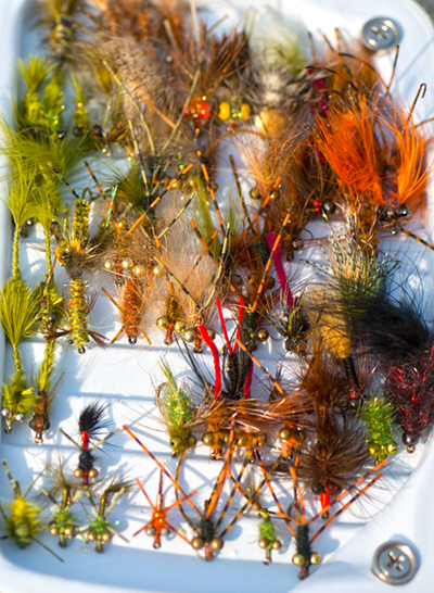 Carp fly box brays bayou