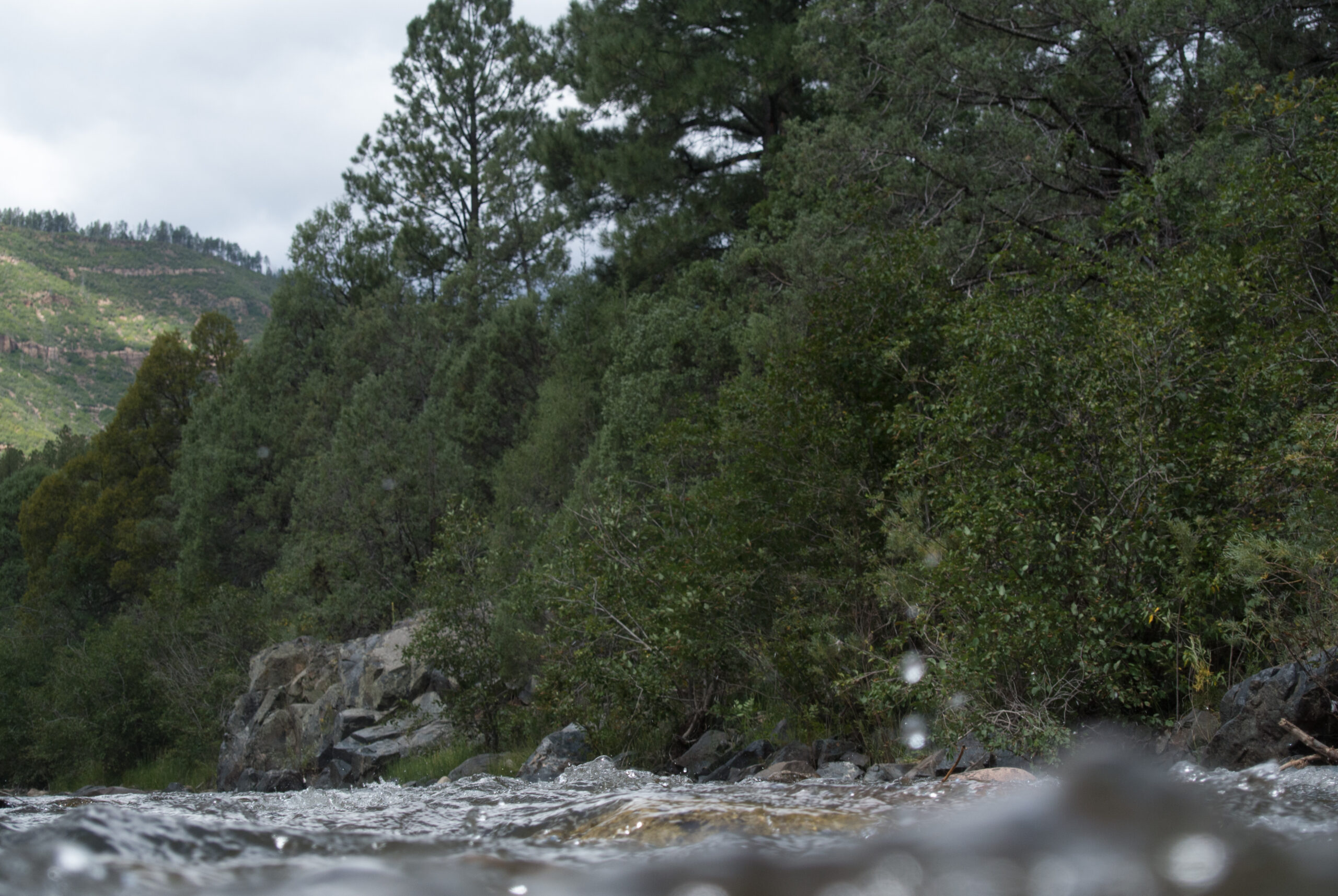 Pecos River New Mexico.