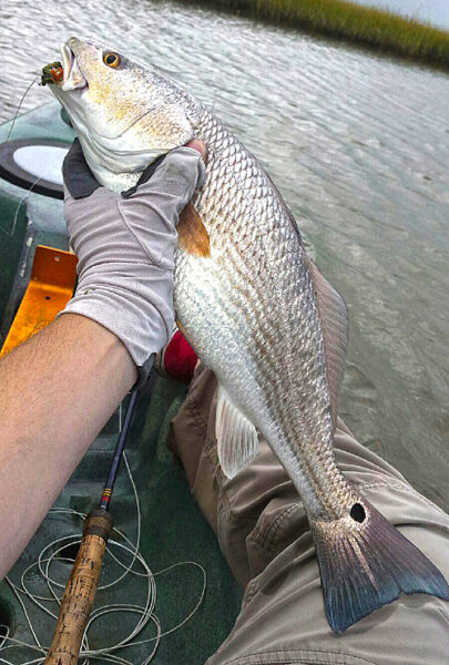 Courtesy Houstonflyfishing.com