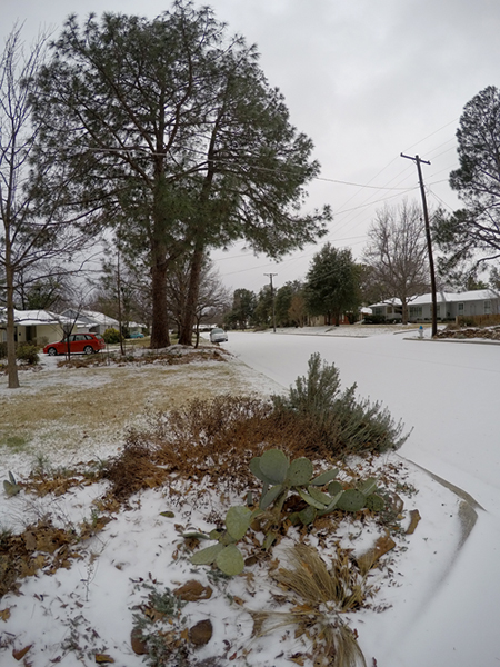 North Texas Weather February 2015