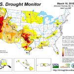 usdrougtmonitor