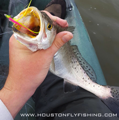 Courtesy HoustonFlyFishing.com