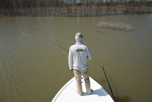 Texas Fly Fishing Ray Roberts Gar on Fly Texas Fly Caster