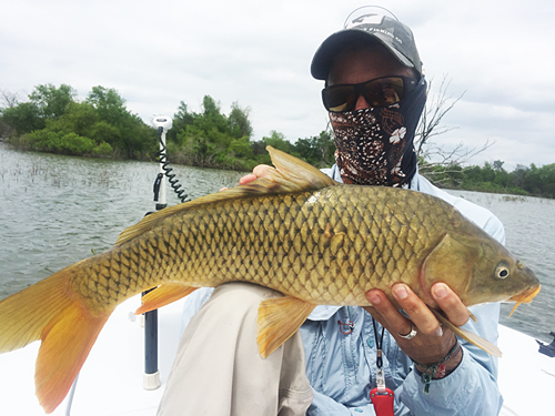 East Cape Fury Texas carp on fly