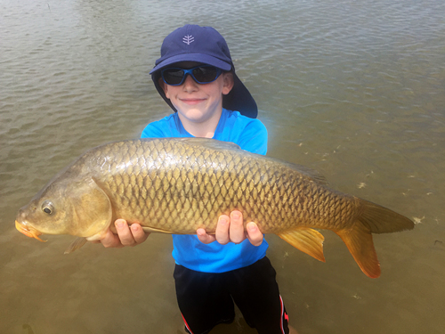 Carp on Fly Ray Roberts - Courtesy Photo