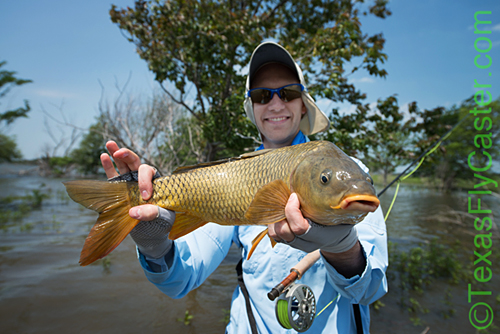 carp on fly guide texas fly caster