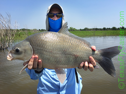 fly fishing guide lake ray roberts buffalo on fly