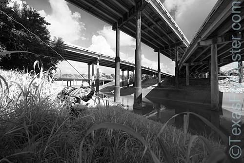 Houston Bayou Fly Fishing