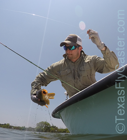 texasflyfishing for carp on fly