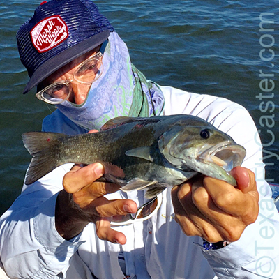 smallmouth bass texoma texas