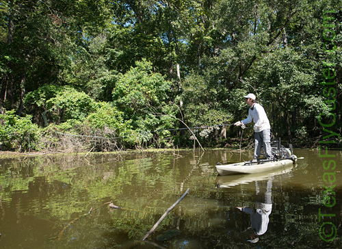 Are You Ready to Get Prehistoric? Houston Bowfin on Fly with Danny  Scarborough - Flyfishing Texas : Flyfishing Texas