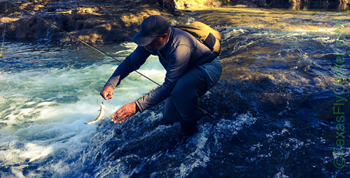 Fly Fishing Blue River Oklahoma