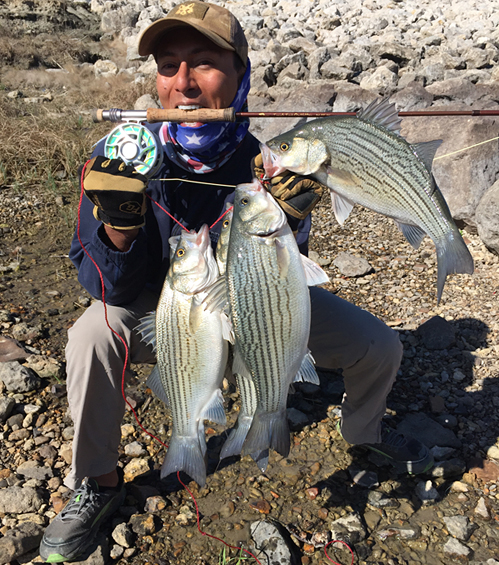 texasflyfishing hybrid bass on fly texas fly caster