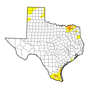 Texas Drought Map