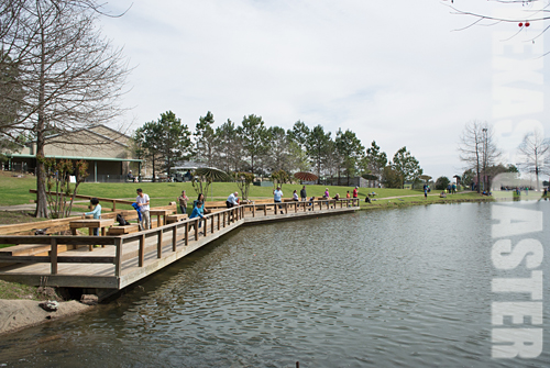 Texas Freshwater Fisheries Fly Fish Texas