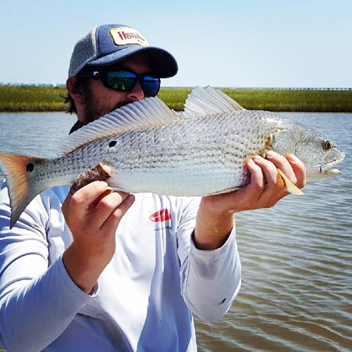 A Bloody Good Chum Line Bayou City Angler - Flyfishing Texas : Flyfishing  Texas