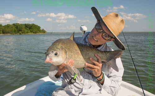 Fly Fishing #flyfishing Lake Lavon TX