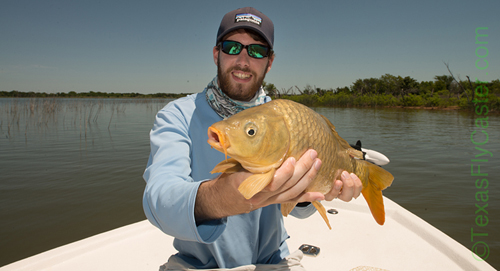 Fly Fishing Carp Lake Ray Roberts #flyfishing 