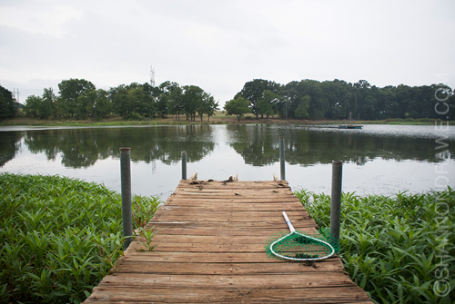 Fly Fishing for Texas Pond Bass 