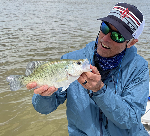 Lake Texoma crappie spring