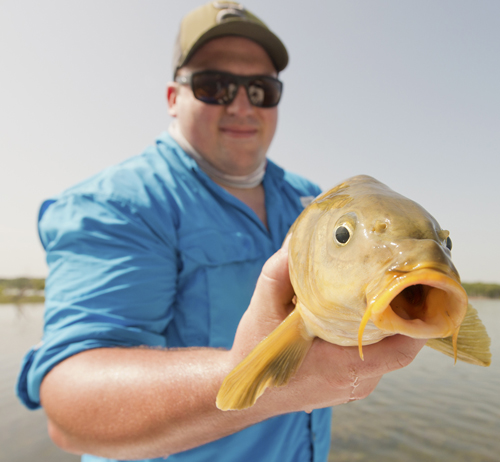 Carp on Fly Lake Ray Roberts Texas.