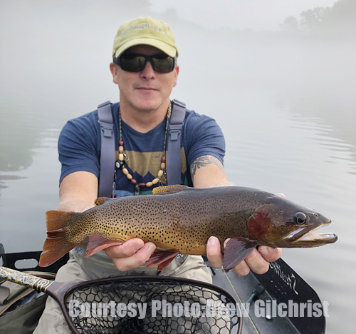 Colorado River fly fishing — Alvin Dedeaux Fly Fishing